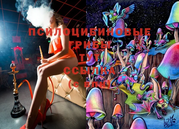 амф Богданович