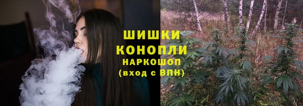 амф Богданович